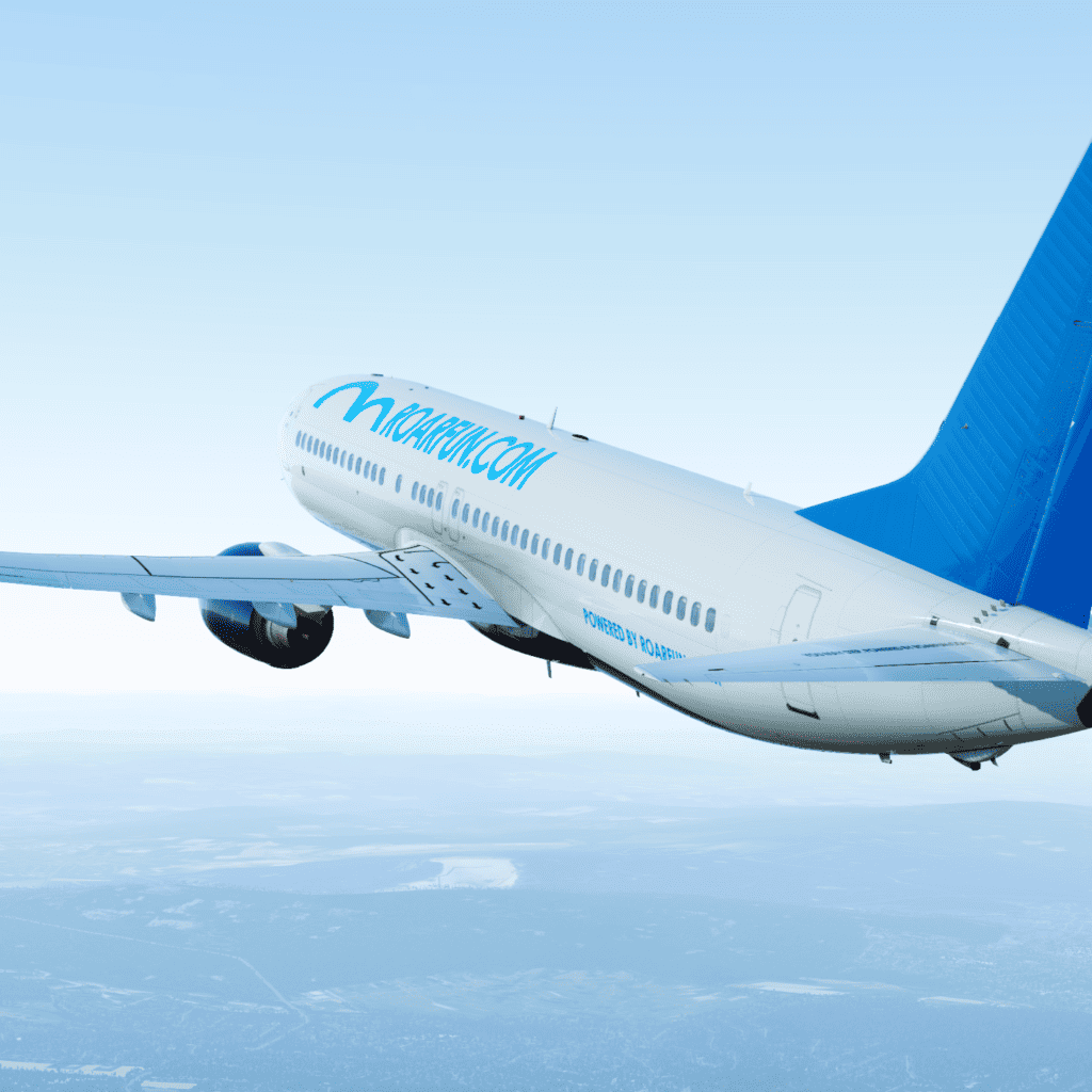 Hire Flight Simulator in Rome with company and partners logo. Rental airplane simulators for birthday event turnkey in European Union